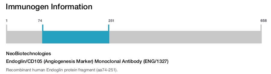 Endoglin/CD105 (Angiogenesis Marker) Monoclonal Antibody (ENG/1327)