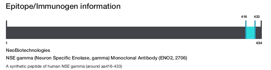 NSE gamma (Neuron Specific Enolase, gamma) Monoclonal Antibody (ENO2, 2706)