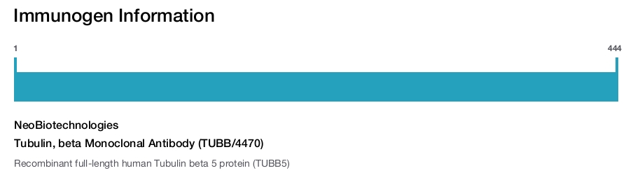 Tubulin, beta Monoclonal Antibody (TUBB/4470)