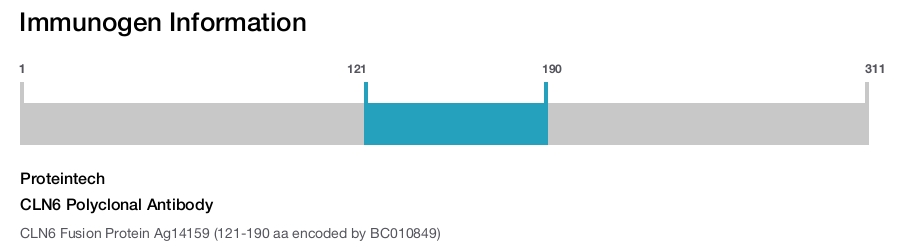 CLN6 Polyclonal Antibody