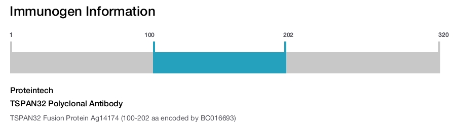 TSPAN32 Polyclonal Antibody