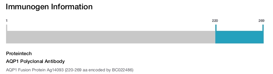 AQP1 Polyclonal Antibody
