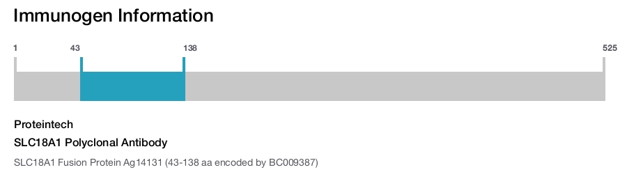 SLC18A1 Polyclonal Antibody