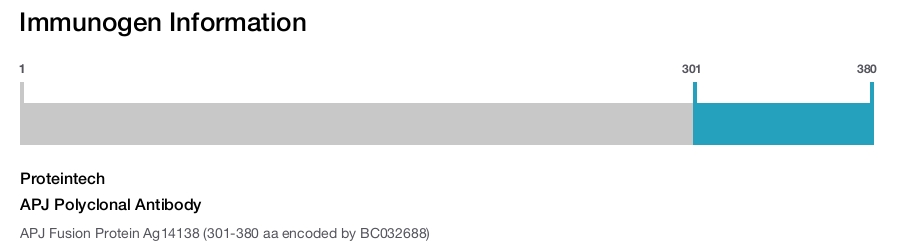 APJ Polyclonal Antibody