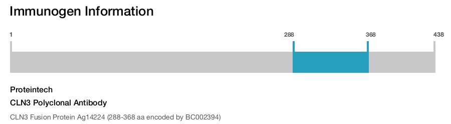 CLN3 Polyclonal Antibody