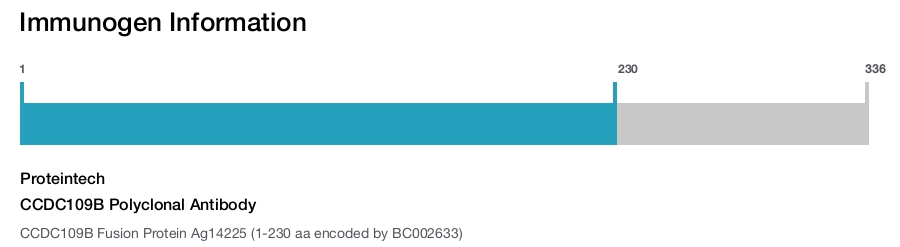 CCDC109B Polyclonal Antibody