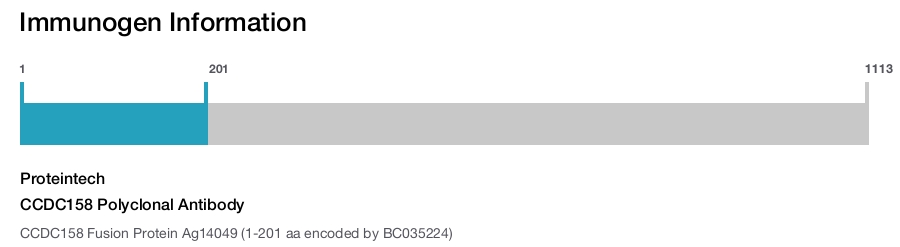 CCDC158 Polyclonal Antibody