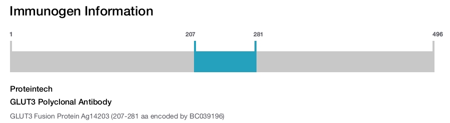 GLUT3 Polyclonal Antibody