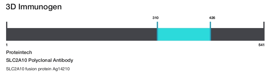 SLC2A10 Polyclonal Antibody