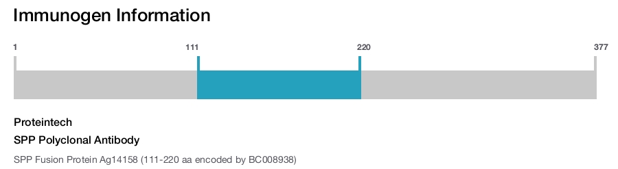 SPP Polyclonal Antibody