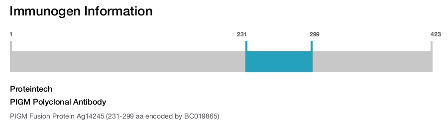 PIGM Polyclonal Antibody
