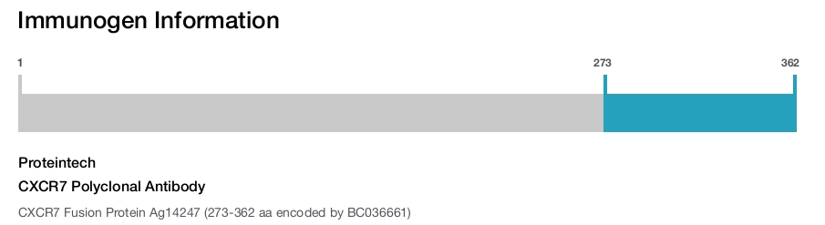 CXCR7 Polyclonal Antibody