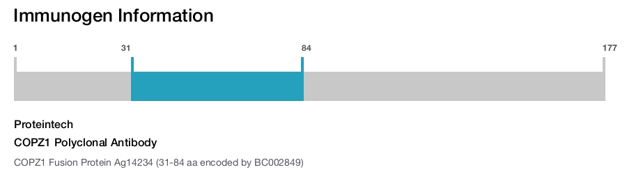 COPZ1 Polyclonal Antibody