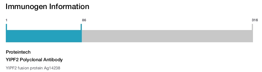 YIPF2 Polyclonal Antibody