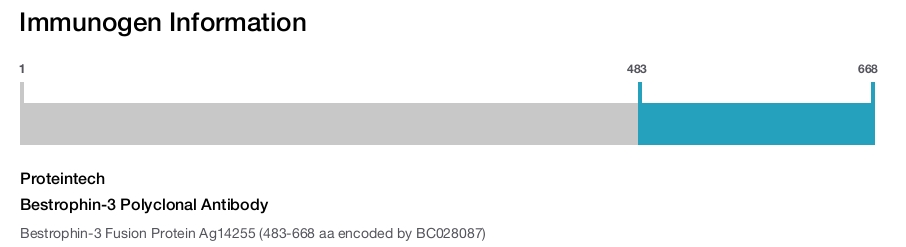 Bestrophin-3 Polyclonal Antibody