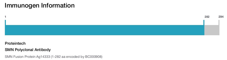 SMN Polyclonal Antibody