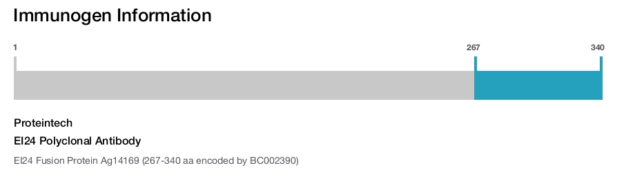 EI24 Polyclonal Antibody