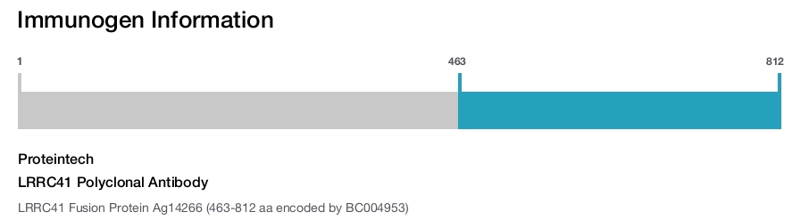 LRRC41 Polyclonal Antibody
