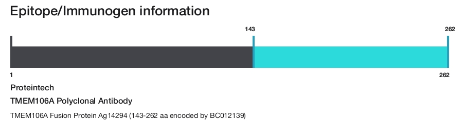 TMEM106A Polyclonal Antibody