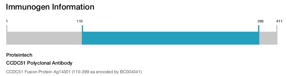 CCDC51 Polyclonal Antibody