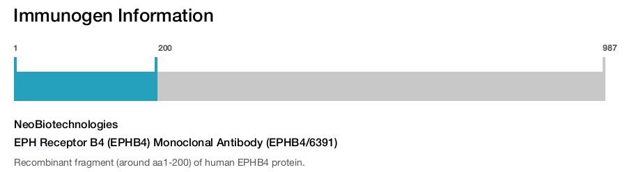 EPH Receptor B4 (EPHB4) Monoclonal Antibody (EPHB4/6391)