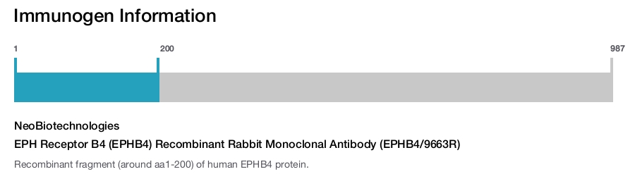 EPH Receptor B4 (EPHB4) Recombinant Rabbit Monoclonal Antibody (EPHB4/9663R)