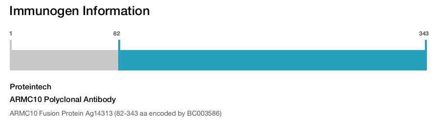 ARMC10 Polyclonal Antibody