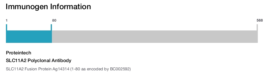 SLC11A2 Polyclonal Antibody