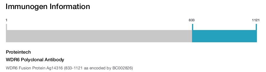 WDR6 Polyclonal Antibody