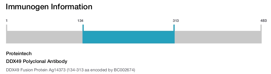 DDX49 Polyclonal Antibody