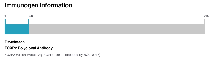 FOXP2 Polyclonal Antibody