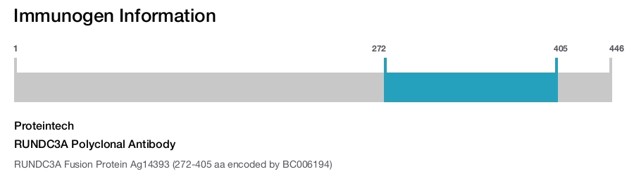 RUNDC3A Polyclonal Antibody