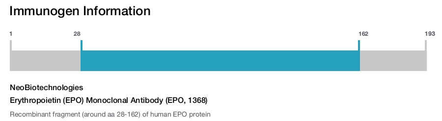 Erythropoietin (EPO) Monoclonal Antibody (EPO, 1368)