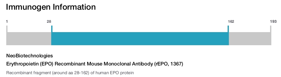 Erythropoietin (EPO) Recombinant Mouse Monoclonal Antibody (rEPO, 1367)