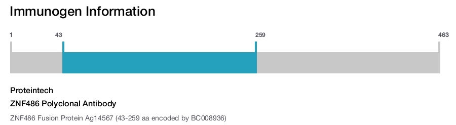 ZNF486 Polyclonal Antibody
