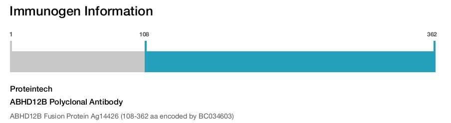 ABHD12B Polyclonal Antibody