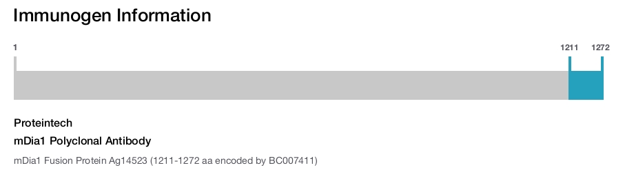 mDia1 Polyclonal Antibody