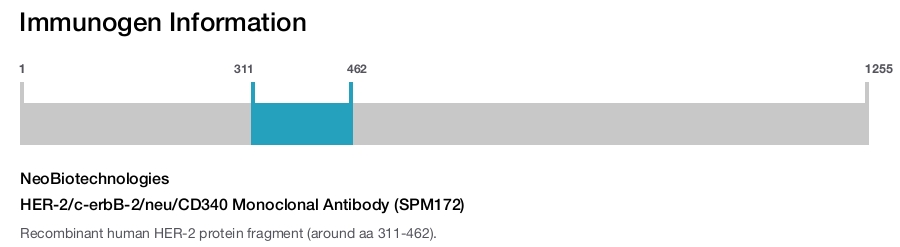 HER-2/c-erbB-2/neu/CD340 Monoclonal Antibody (SPM172)