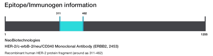 HER-2/c-erbB-2/neu/CD340 Monoclonal Antibody (ERBB2, 2453)