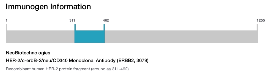 HER-2/c-erbB-2/neu/CD340 Monoclonal Antibody (ERBB2, 3079)