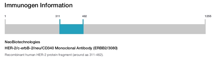 HER-2/c-erbB-2/neu/CD340 Monoclonal Antibody (ERBB2/3080)