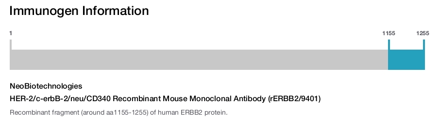 HER-2/c-erbB-2/neu/CD340 Recombinant Mouse Monoclonal Antibody (rERBB2/9401)