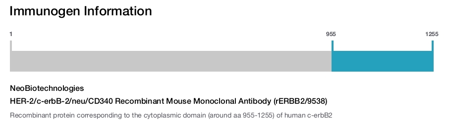 HER-2/c-erbB-2/neu/CD340 Recombinant Mouse Monoclonal Antibody (rERBB2/9538)