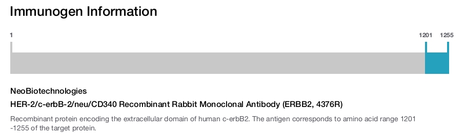 HER-2/c-erbB-2/neu/CD340 Recombinant Rabbit Monoclonal Antibody (ERBB2, 4376R)