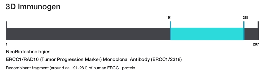 ERCC1/RAD10 (Tumor Progression Marker) Monoclonal Antibody (ERCC1/2318)