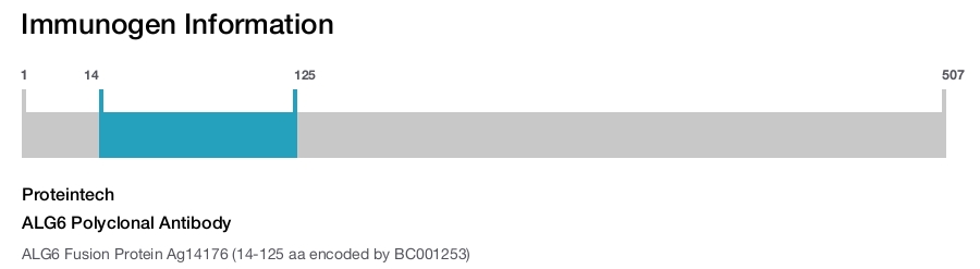 ALG6 Polyclonal Antibody