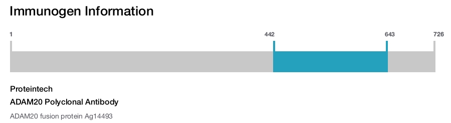 ADAM20 Polyclonal Antibody