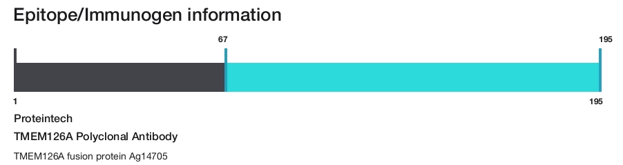 TMEM126A Polyclonal Antibody