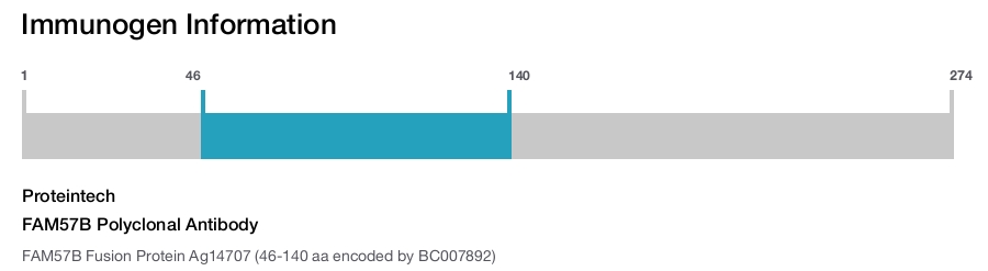 FAM57B Polyclonal Antibody