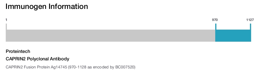 CAPRIN2 Polyclonal Antibody